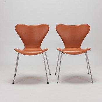 Arne Jacobsen, stolar, 6 st, "Sjuan", Fritz Hansen, Denmark.