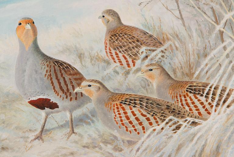 Matti Karppanen, Forest Birds in Winter Landscape.