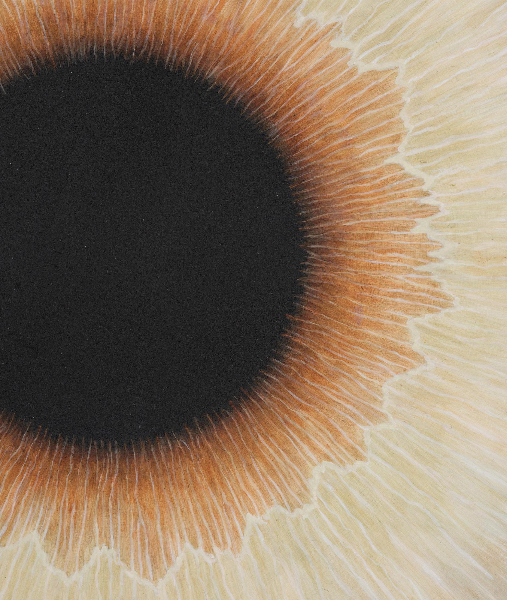Ulla Wiggen, "Iris III".