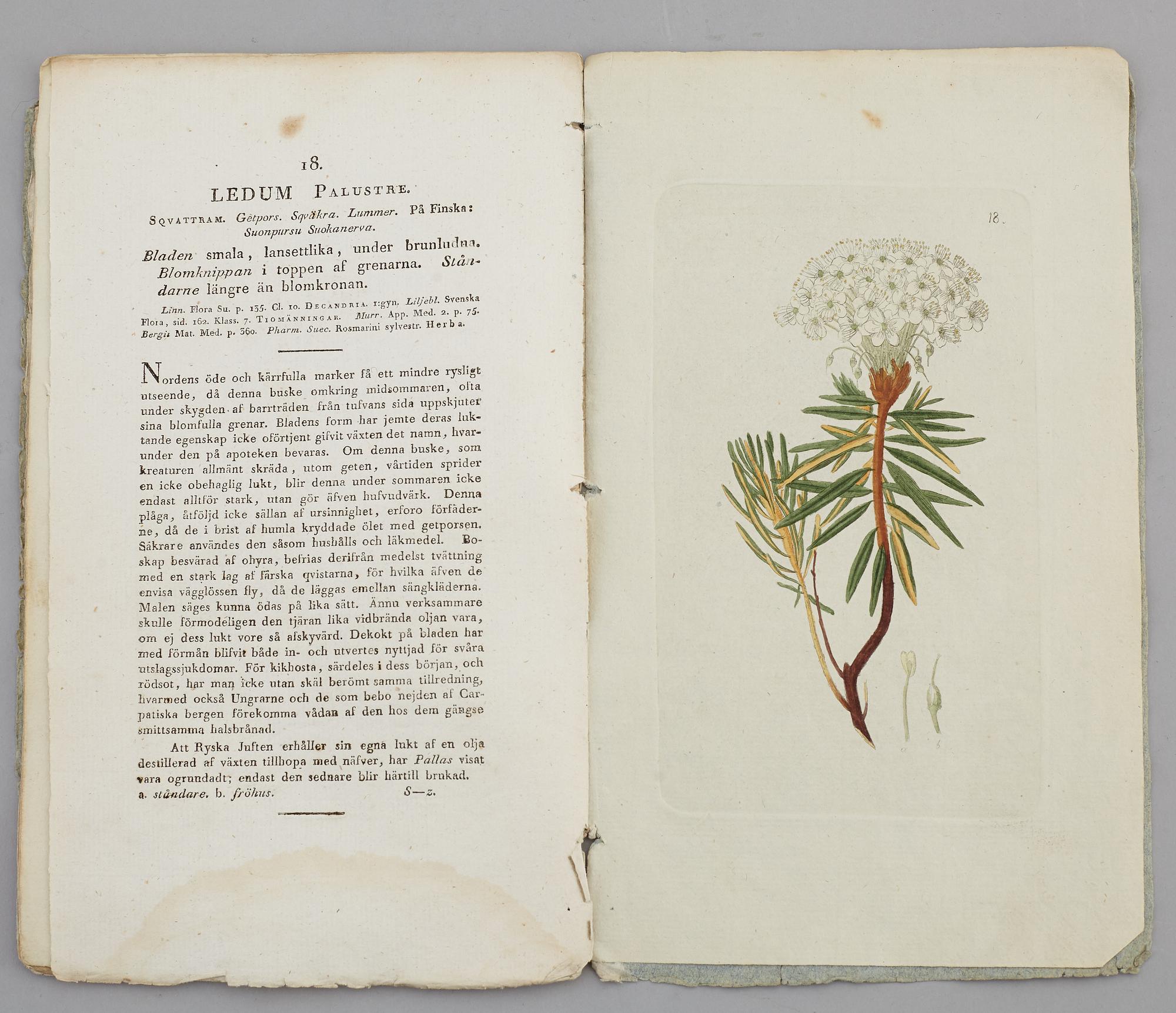 JOHAN WILHELM PALMSTRUCH, "Svensk Botanik, vol I-V. 1803-1805.