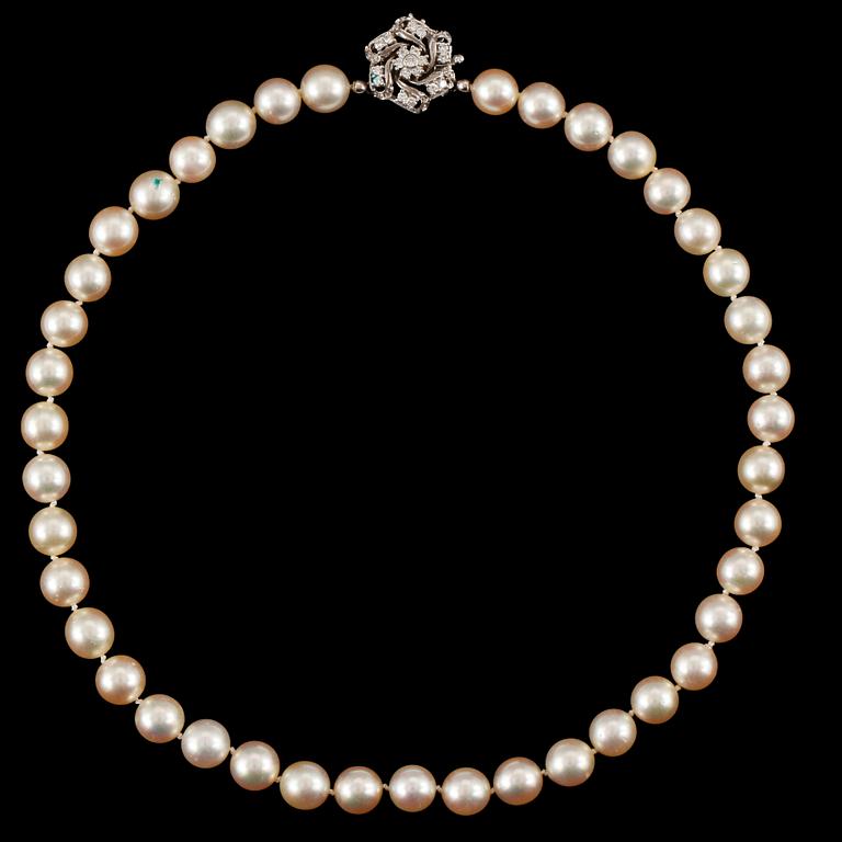 A cultured pearl necklace.