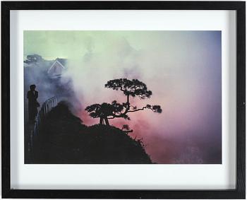 Rolf Adlercreutz · ROLF ADLERCREUTZ, pigment print, signatur och stämpel á tergo, numrerad 1/20