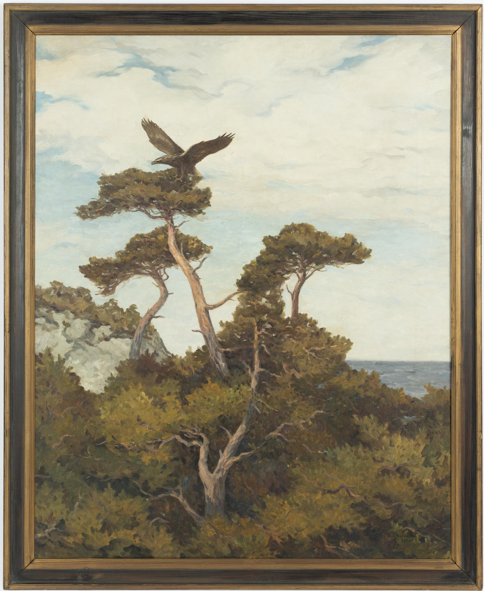 Rolf Mellström, Örn vid sitt bo.