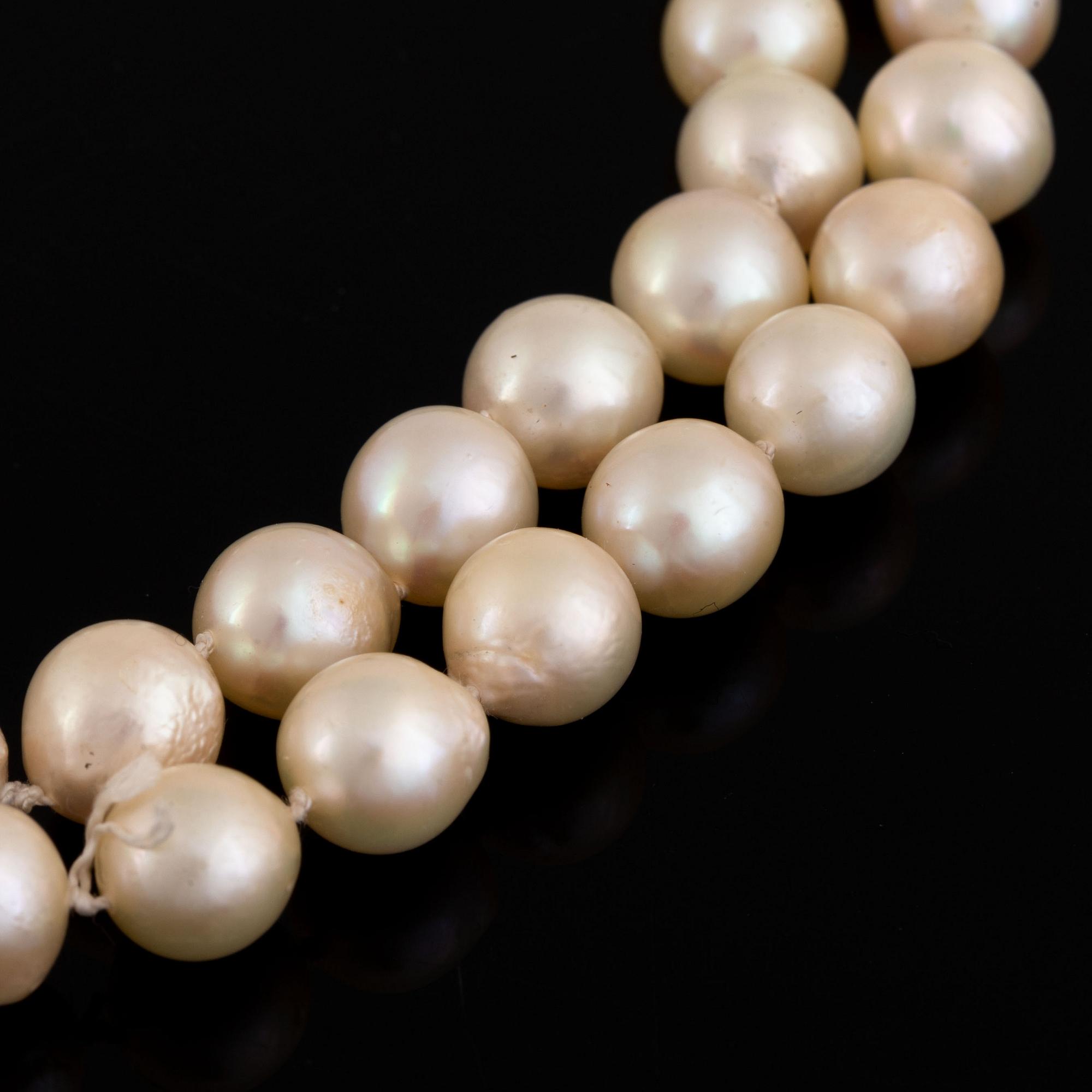 A two strand cultured pearl necklace.