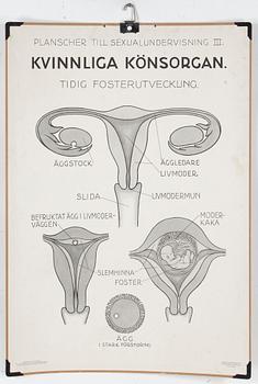 SKOLPLANSCHER, 4 st, 1900-talets mitt.
