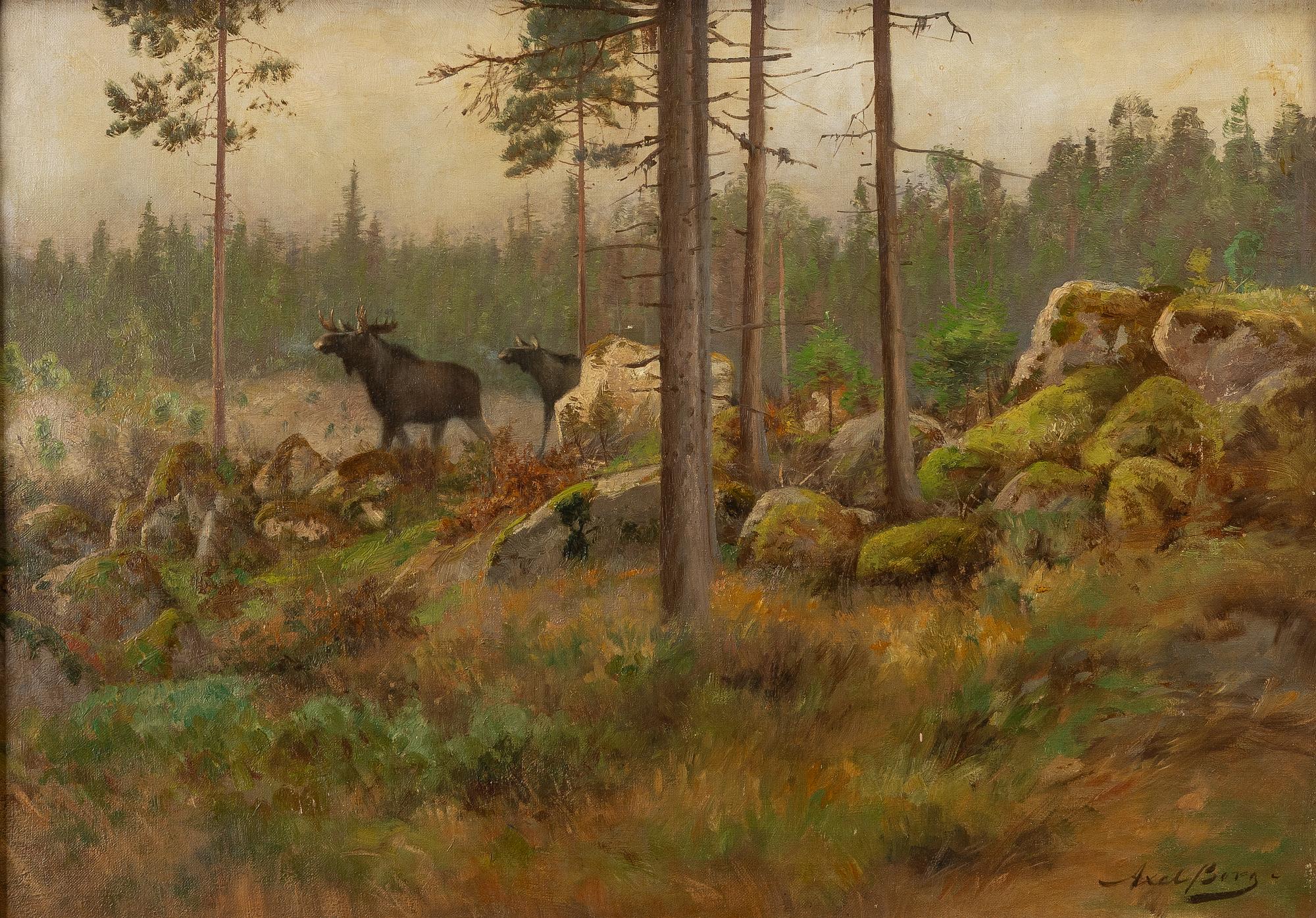Axel Borg, Moose at a Clear-Cut Logging Site.