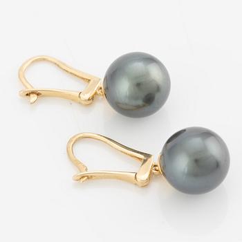 A pair of earrings in 14K gold with cultured pearls, likely Tahitian pearls.