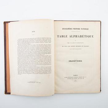 "Les Coléoptères..." & "Table Alphabetique .... Coléoptères", 2 volumes, Paris 1876 & 1875.
