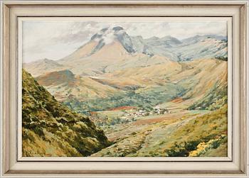 WILLEM VAN DER DOES, olja på duk. Sign.