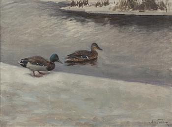 Nils Tirén, Pair of Mallards at the Hole.