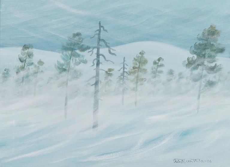 Vesa Junttila, Talvimaisema.