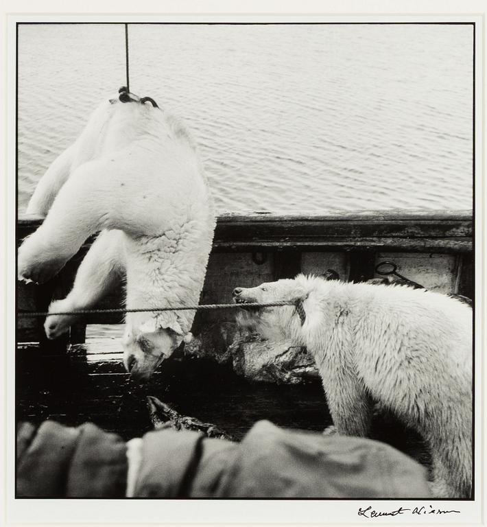 Lennart Nilsson,  "Isbjörnsjakt vid Hvitøya (Vitön), Svalbard, Norge 1947".