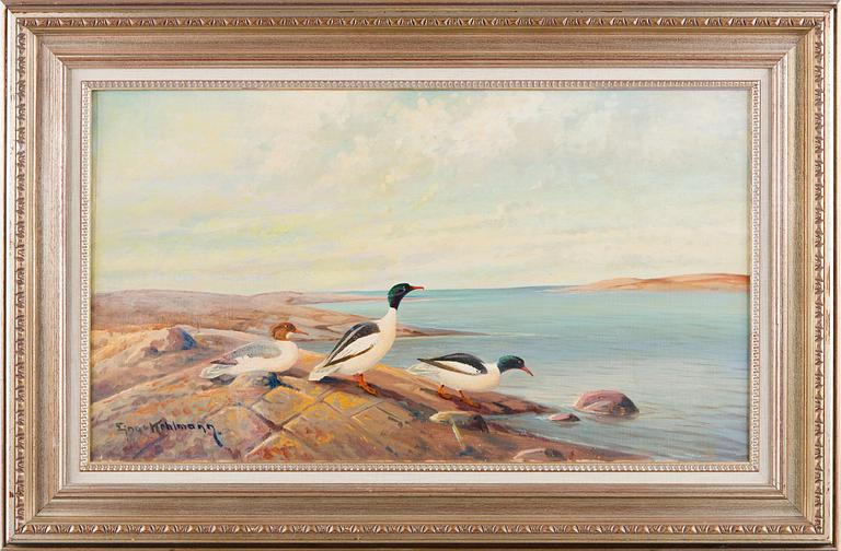 Ejnar Kohlmann, A Family of Ducks.