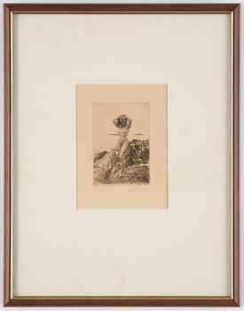 Anders Zorn, "Hårtång".