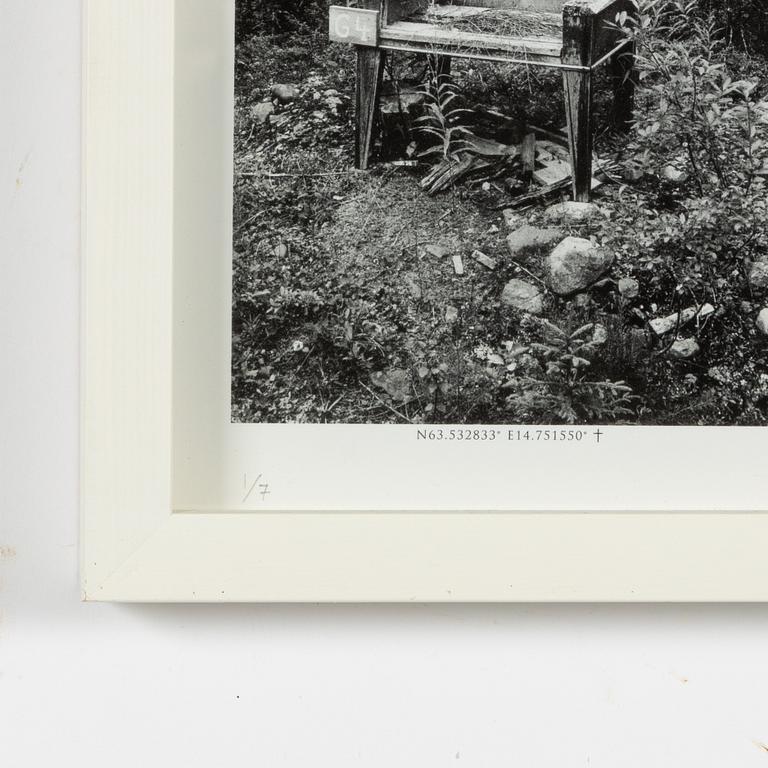 Corinne Ericson,  "Jämtländska älgpass I".