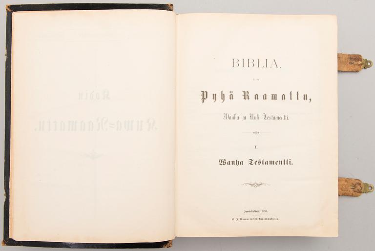 KIRJA/RAAMATTU, Kuva-Raamattu, Jyväskylä 1893.