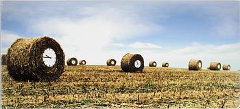 JOHAN FERNER STRÖM, fotografi, sign o numr 1/8, 2000-tal.