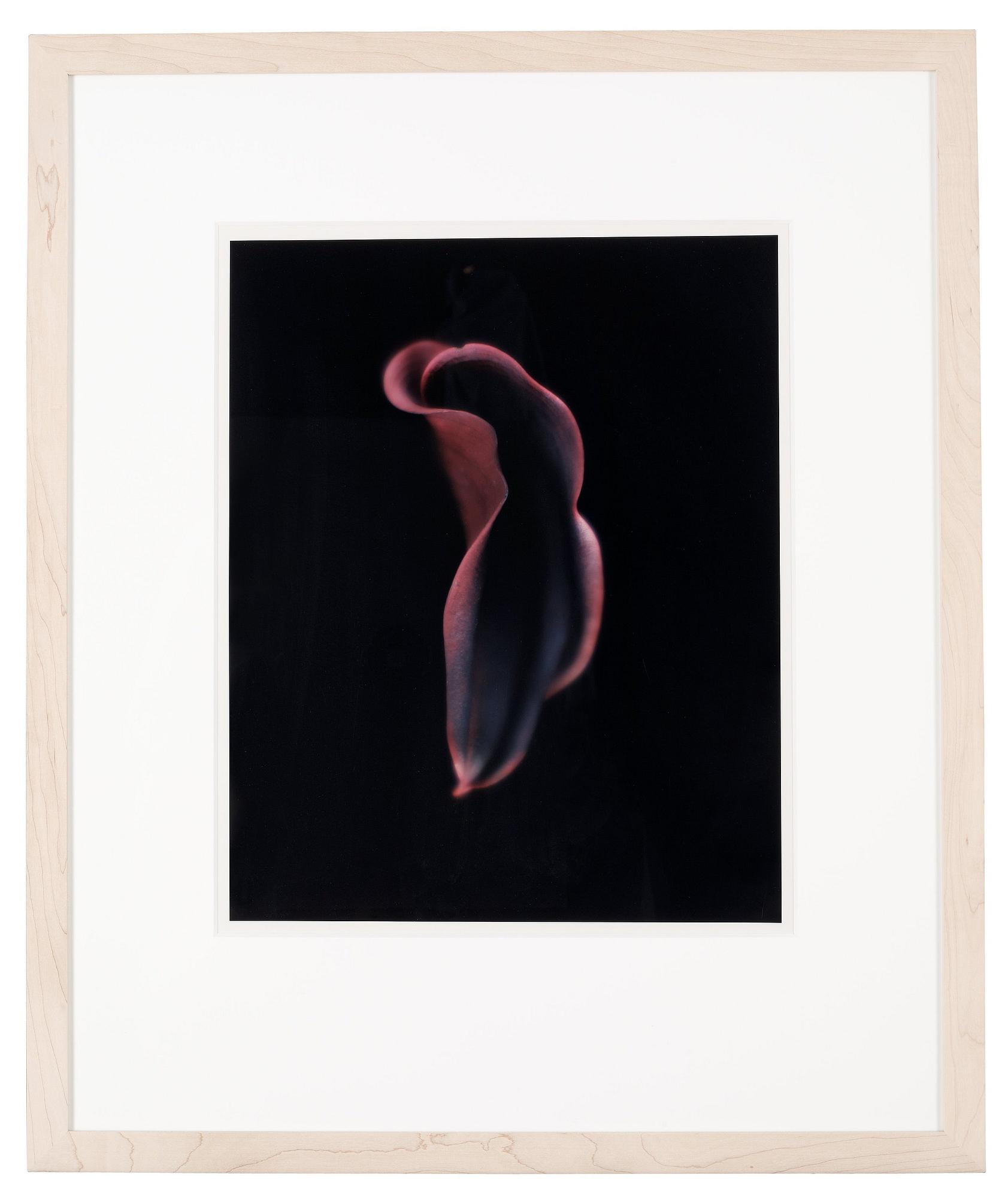 Dawid (Björn Dawidsson), "Martell", 1998.