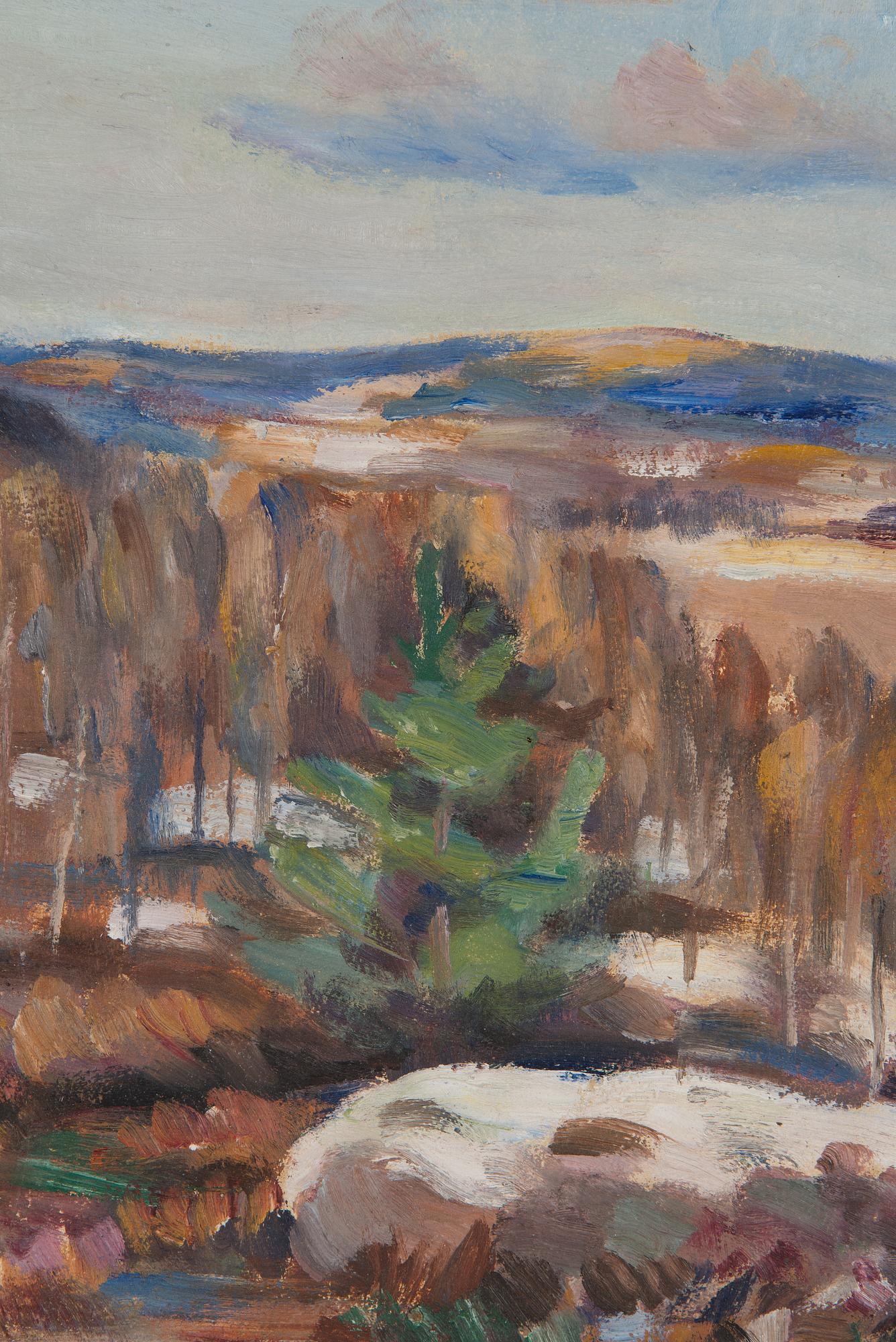 Janne Muusari, Maisema.