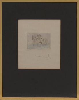 SALVADOR DALÍ, käsinväritetty etsaus, signeerattu ja numeroitu 89/95.