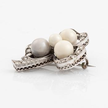 484. An antique shamrock pearl brooch.