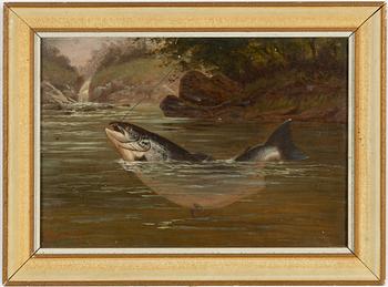 Arthur Roland Knight, Laxfiske.