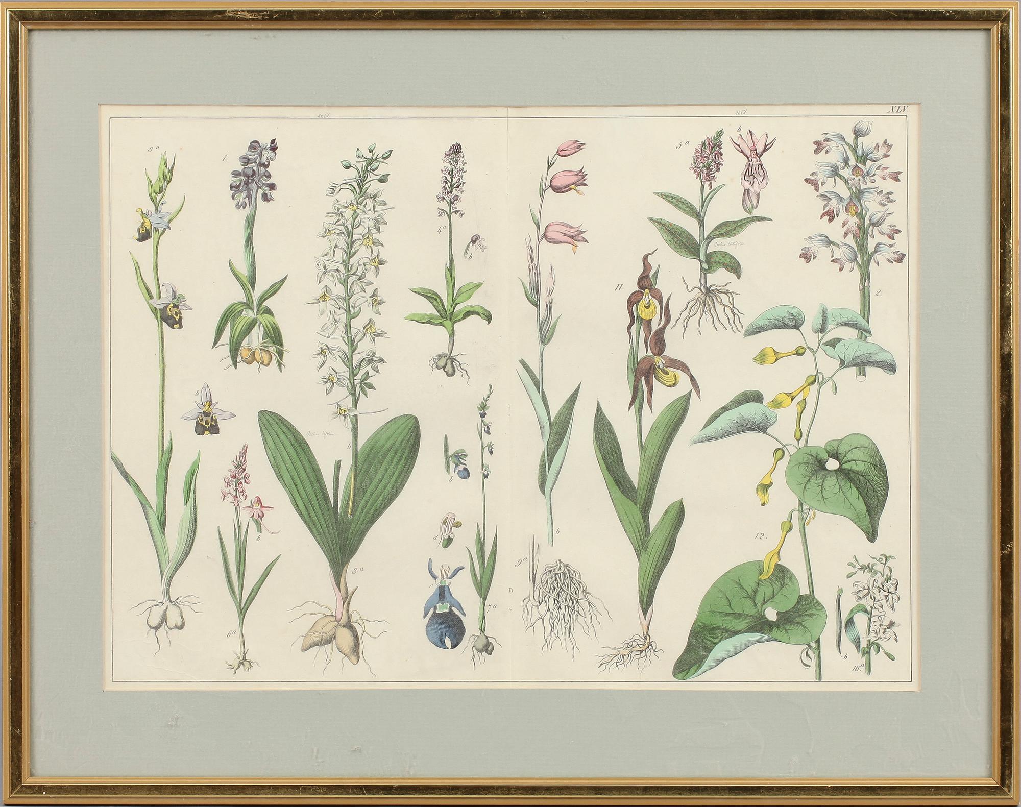 GRAFISKA BLAD, 4 st, 1800/1900-tal.