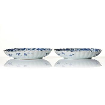 A pair of blue and white 'floral' dishes, Qing dynasty, Kangxi (1662-1722).