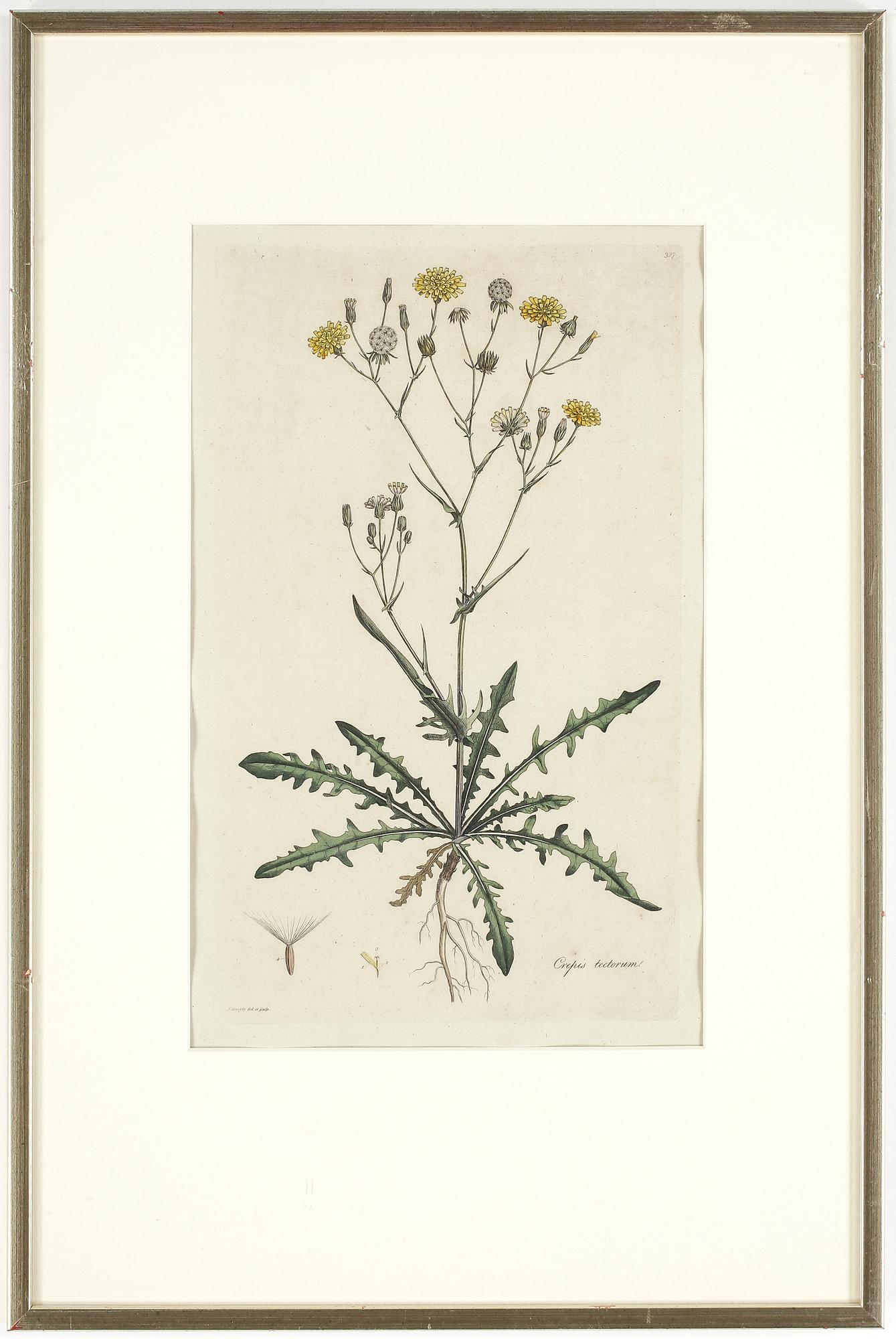 GRAVYRER, ett par, delvis handkolorerade, 1700-tal.
