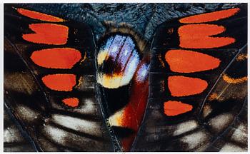 Nathalia Edenmont, "Spirit".