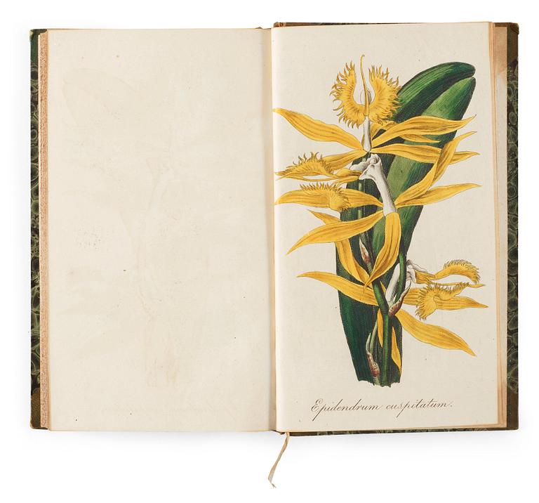 J. E. VON REIDER, Annalen Der Blumisterei für gartenbesitzer, Kunstgärtner, Saamenhändler und Blumenfreunde, 12 vol.