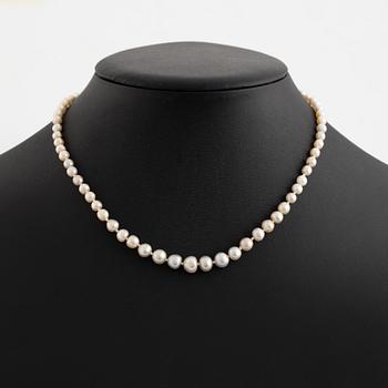 Pearl necklace, with graduated pearls.