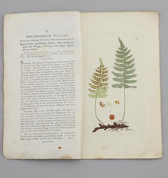 JOHAN WILHELM PALMSTRUCH, "Svensk Botanik, vol I-V. 1803-1805.