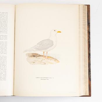 Books, 3, "Svenska fåglar" by von Wright.