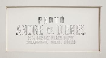 ANDRÉ DE DIENES, silvergelatinfotografi, stämpelsign á tergo.