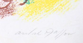 ANDRÉ MASSON, efter, litografi, numr 89/101.