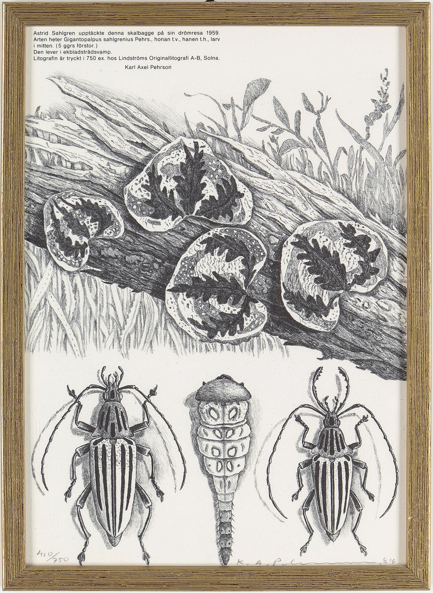 KARL AXEL PEHRSON, 9 st, litografier, signerade, olika dateringar och numreringar.