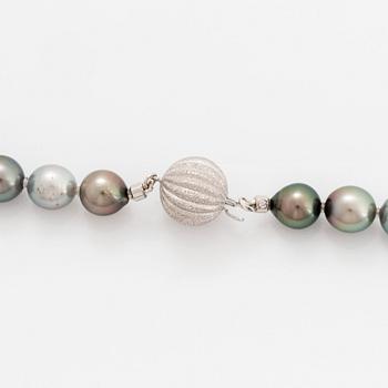 Collier odlade Tahiti-pärlor.