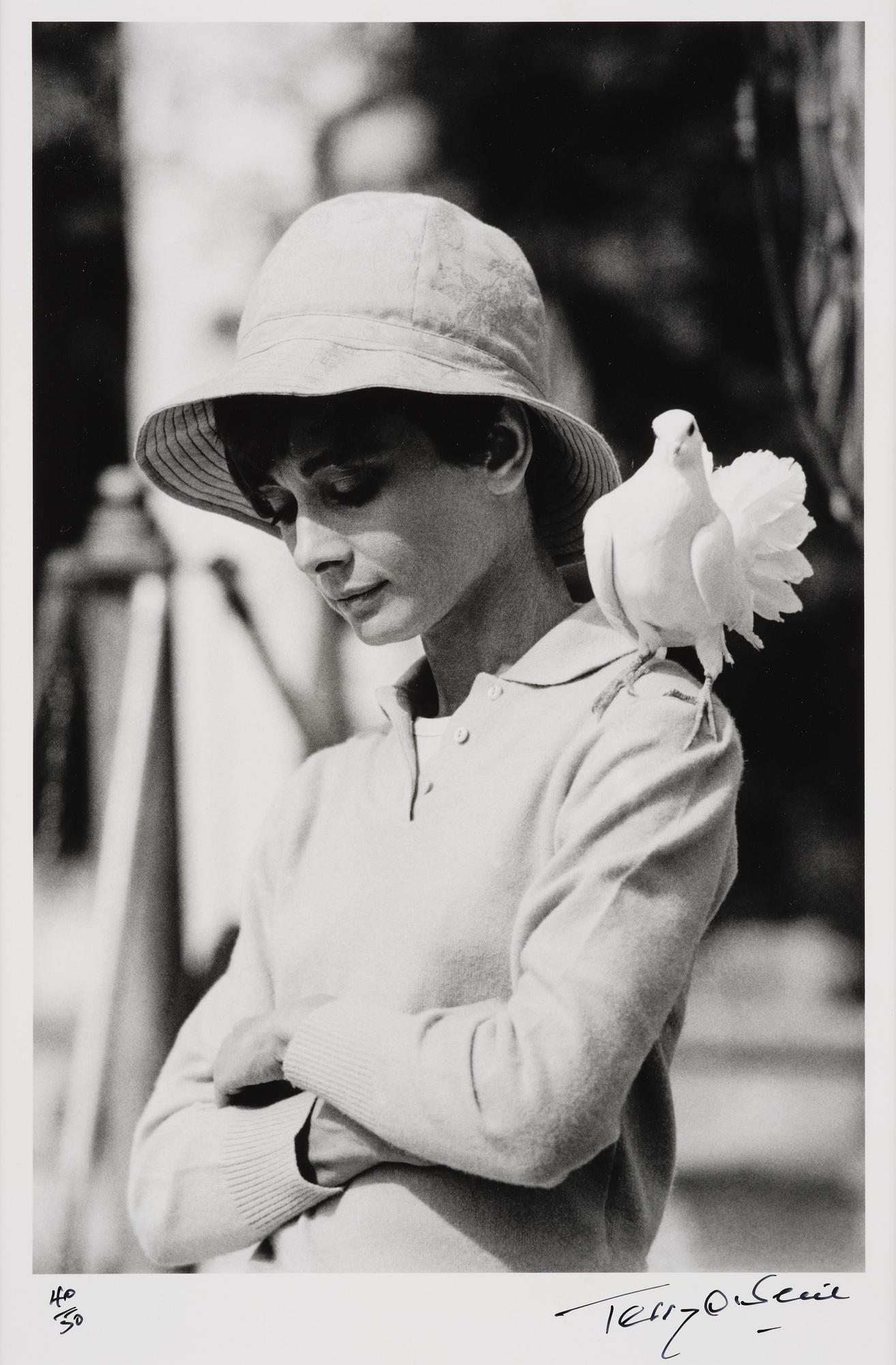 Terry O'Neill, "Audrey Hepburn with Dove, St Tropez", 1967.