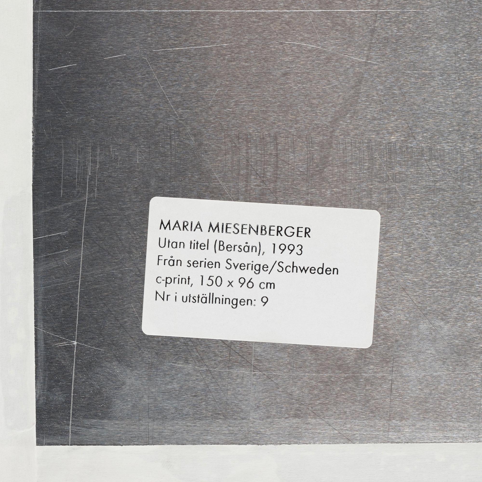 Maria Miesenberger, "Utan titel (bersån)", 1993.