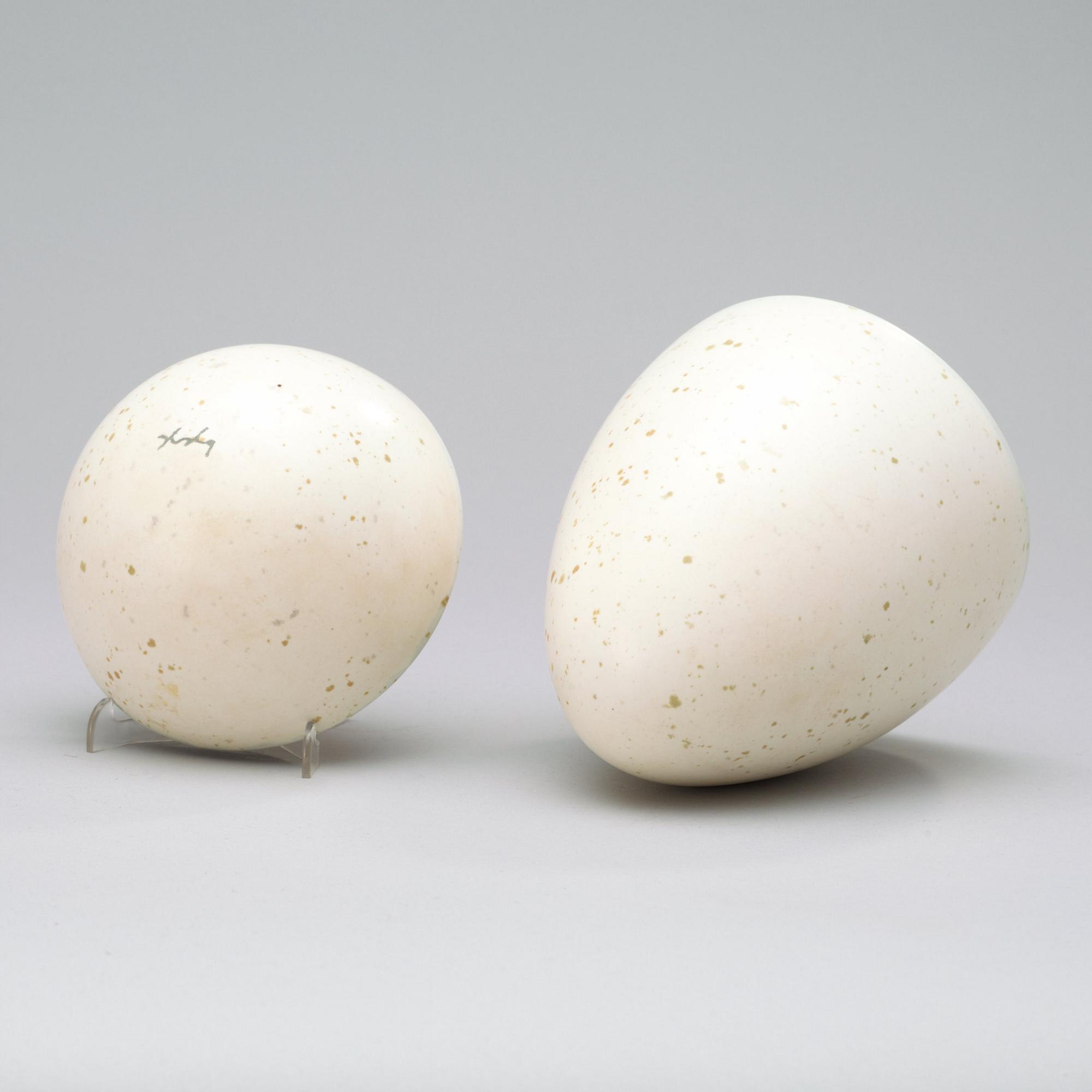 A Hans Hedberg faience egg, Biot, France.