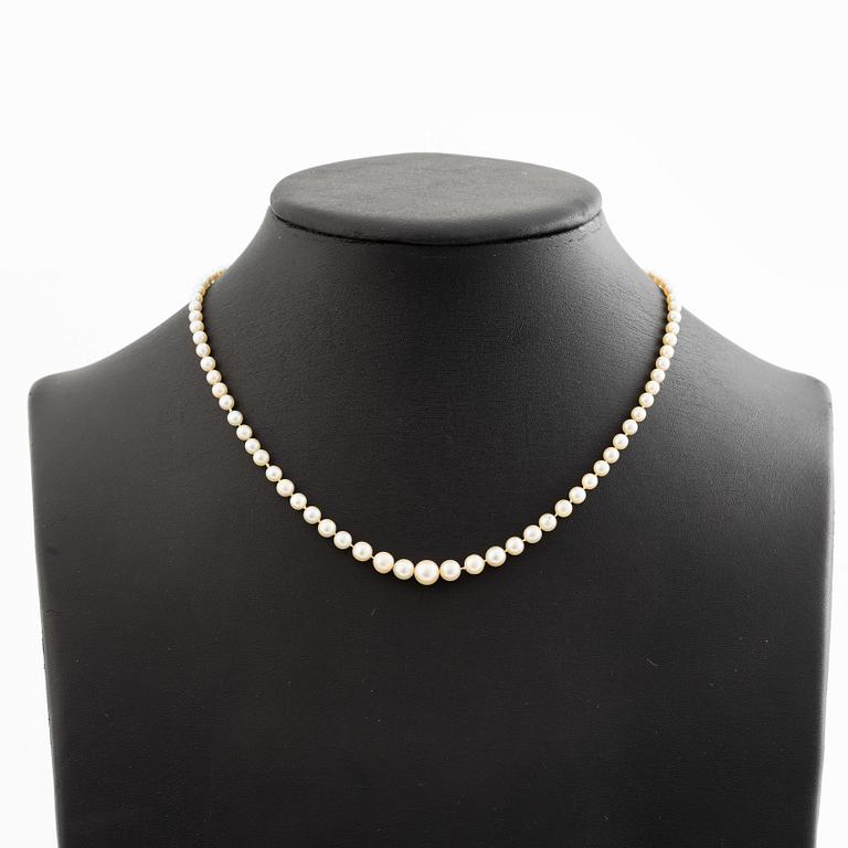 Necklace of pearls with an 18K gold clasp.