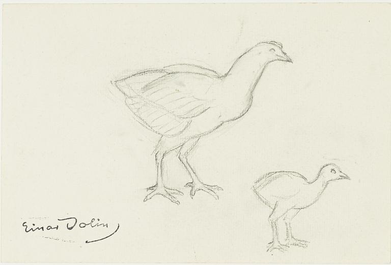 Einar Jolin, Birds.