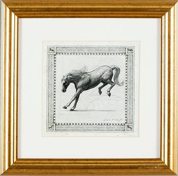 TAVLOR, 13 st, tryck, 1900-talets andra hälft.