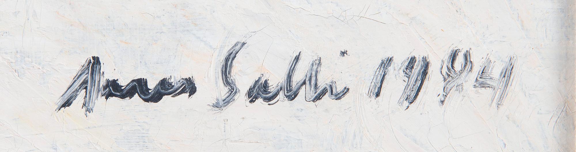 Aares Salli, Vinterlandskap.