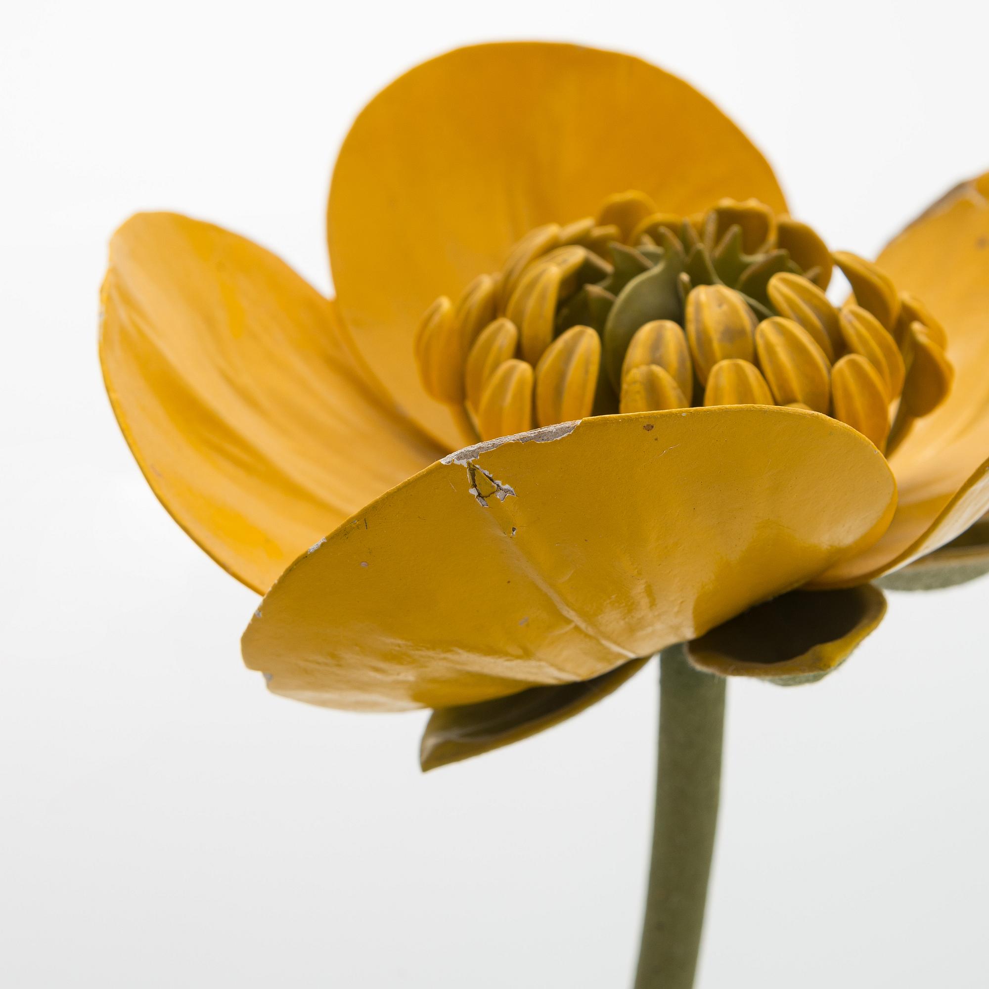 Robert Brendel, a botanical model, R. & R. Brendel. Poland, turn of the 20th century.