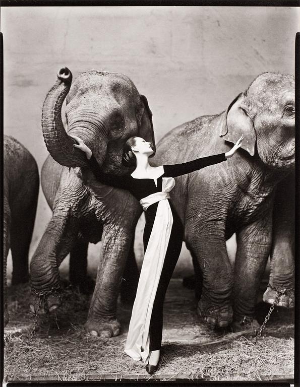 Richard Avedon, "Dovima with elephants, evening dress by Dior, Cirque d'Hiver, Paris, August 1955".