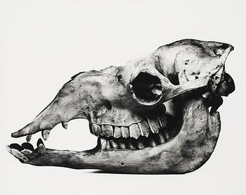 Irving Penn, "Camel", Prague, 1986.