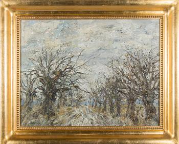 Wlodzimierz Zakrzewski, Maantie Masoviassa.