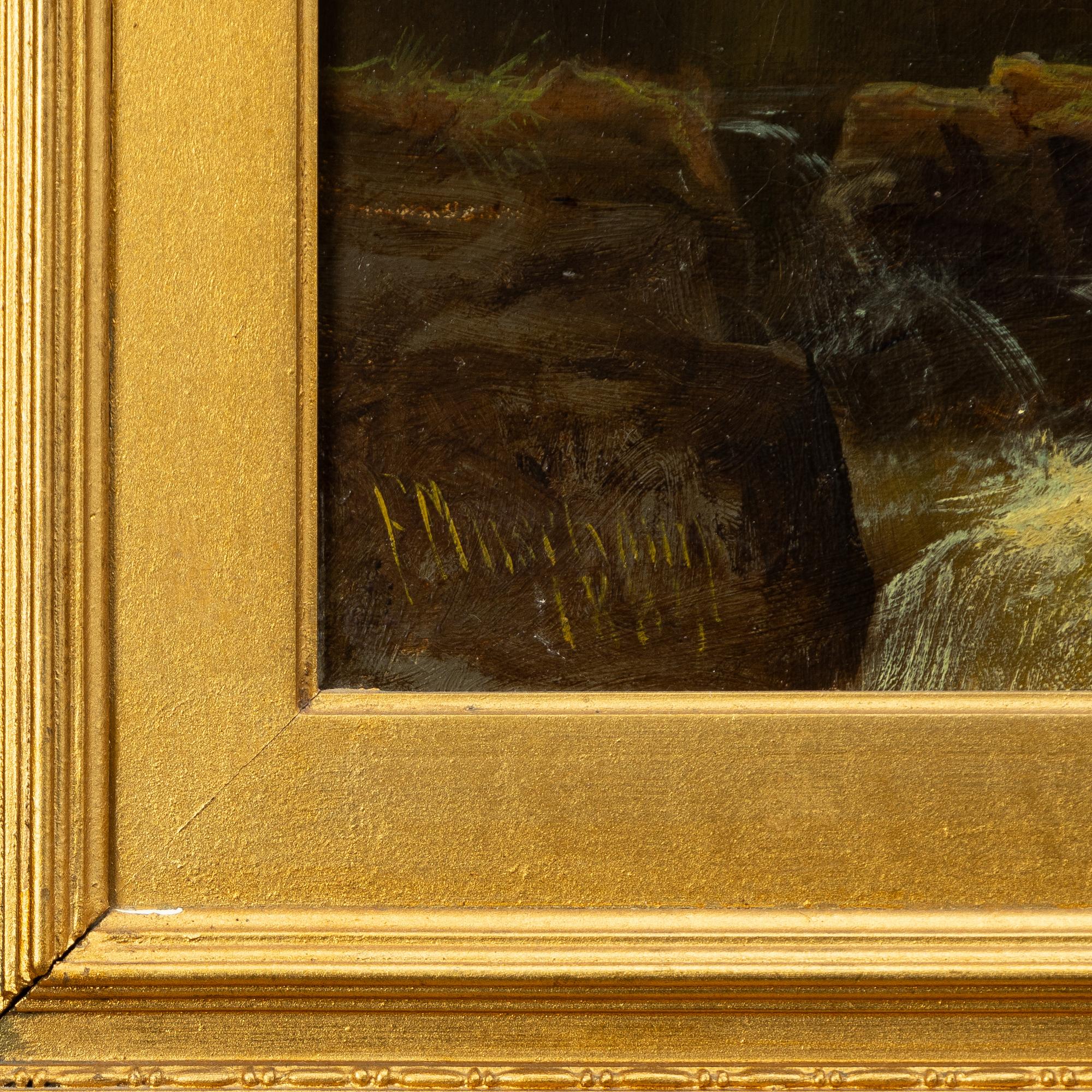 Francis Muschamp, Waterfall.